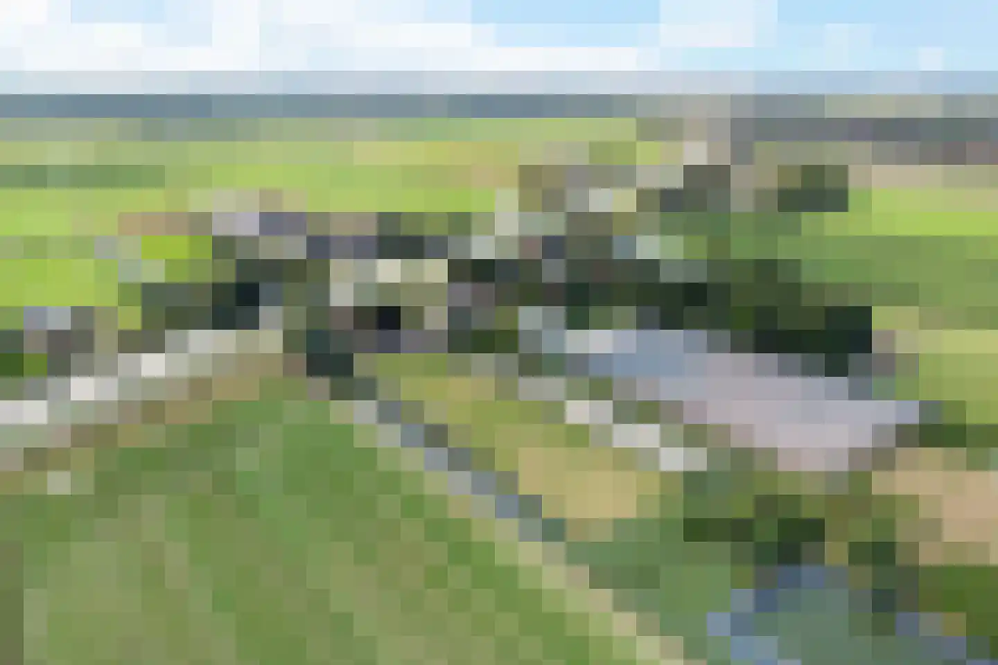 Walingsdijk 97 A Ursem thumbnail 15