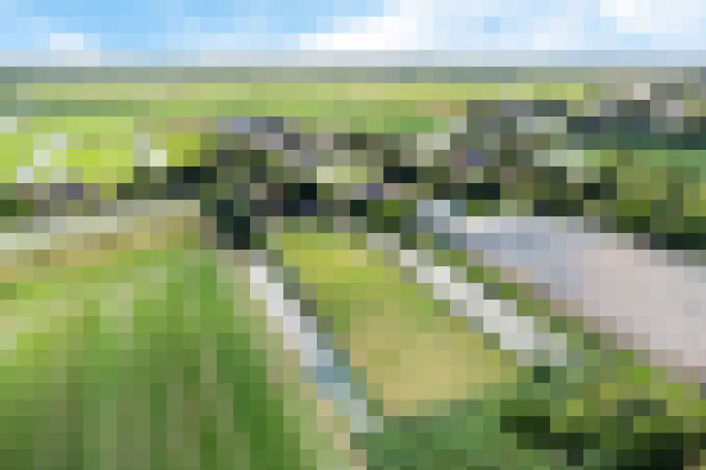 Walingsdijk 97 A Ursem thumbnail 19