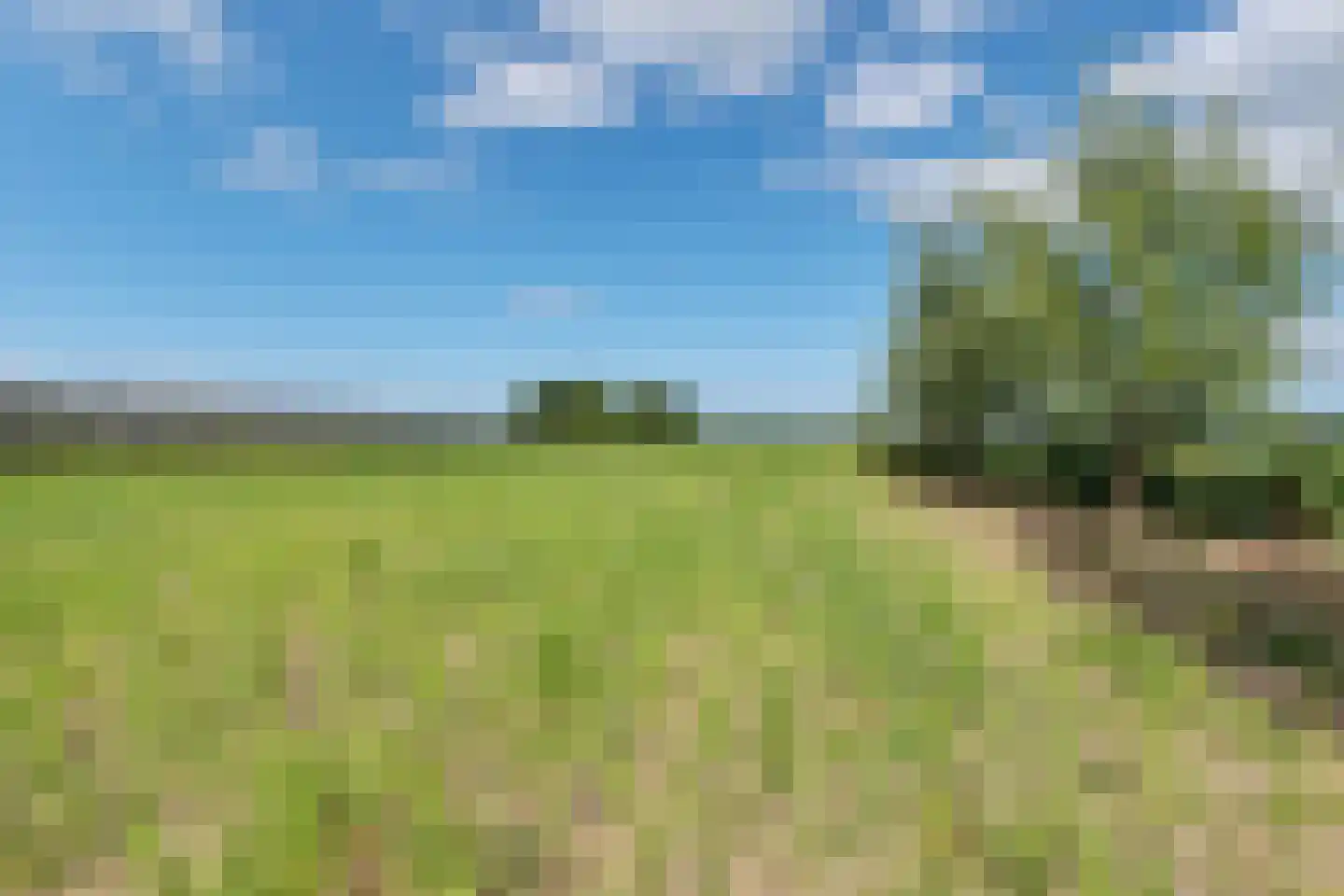 Walingsdijk 97 A Ursem thumbnail 24