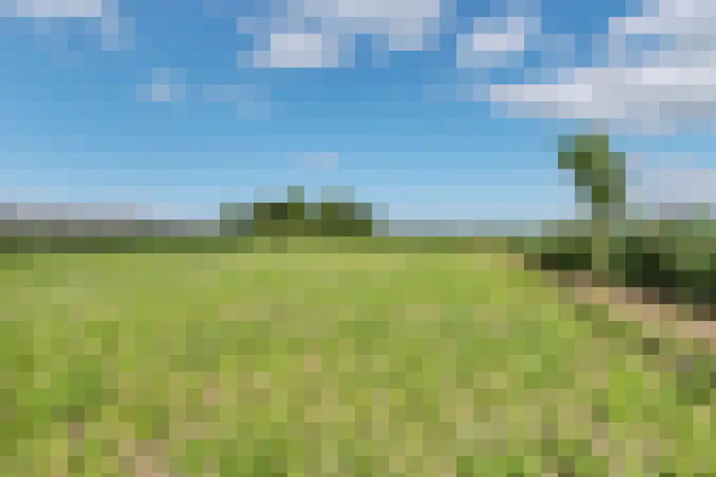 Walingsdijk 97 A Ursem thumbnail 25