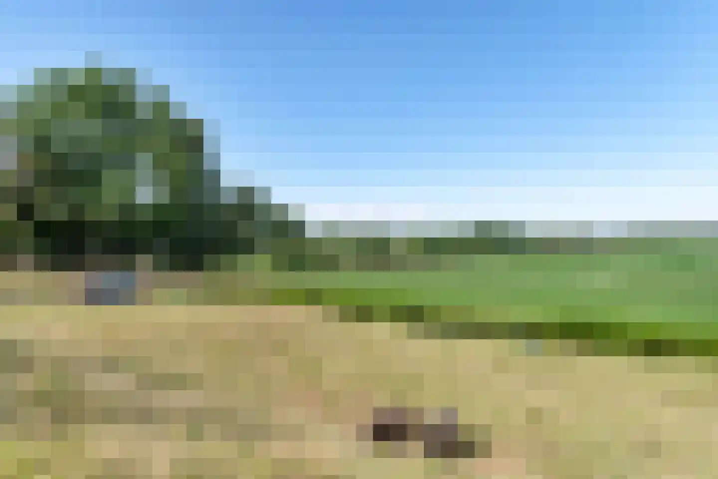 Walingsdijk 97 A Ursem thumbnail 34