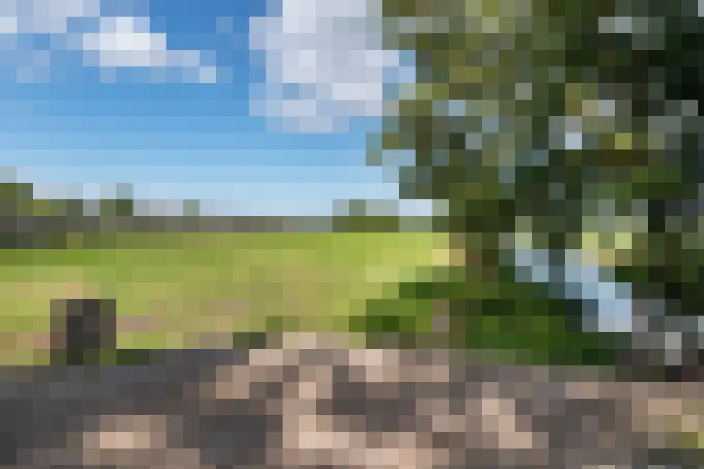 Walingsdijk 97 A Ursem thumbnail 7