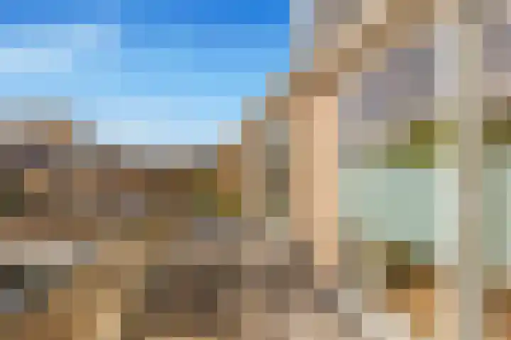 Walingstuin 10 Castricum thumbnail 36