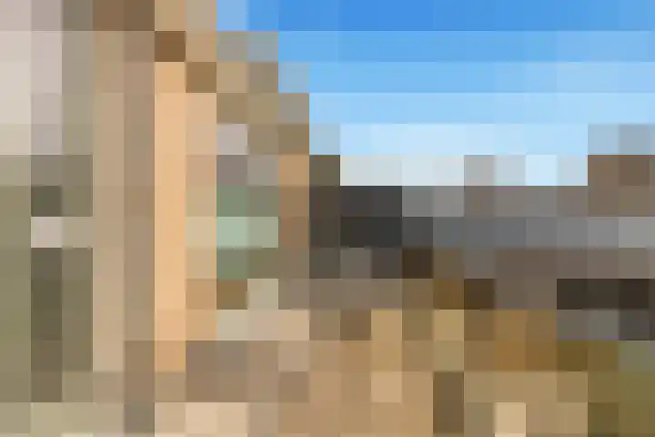 Walingstuin 10 Castricum thumbnail 37