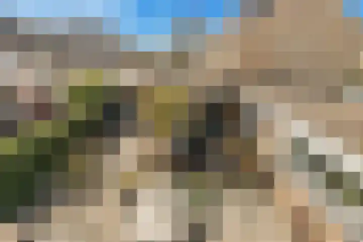 Walingstuin 10 Castricum thumbnail 38