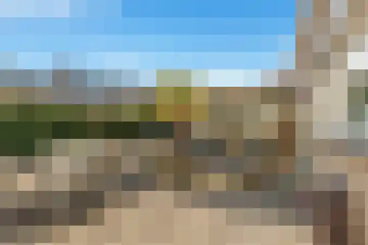 Walingstuin 10 Castricum thumbnail 51