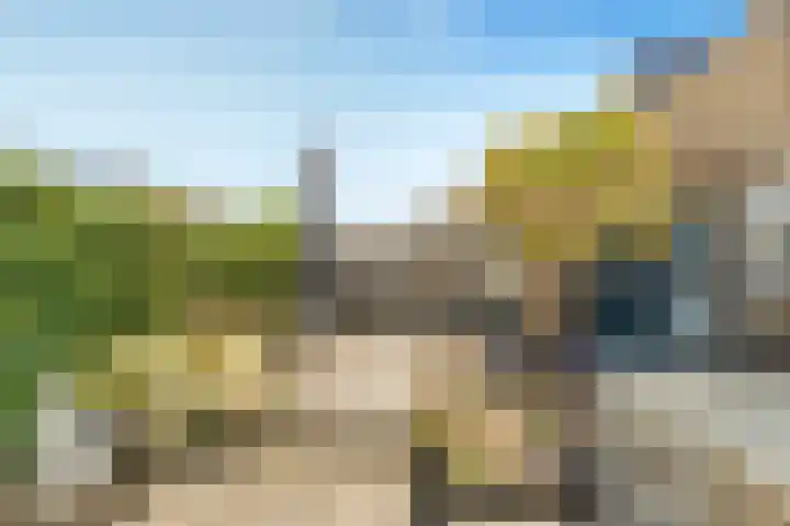 Walingstuin 10 Castricum thumbnail 53
