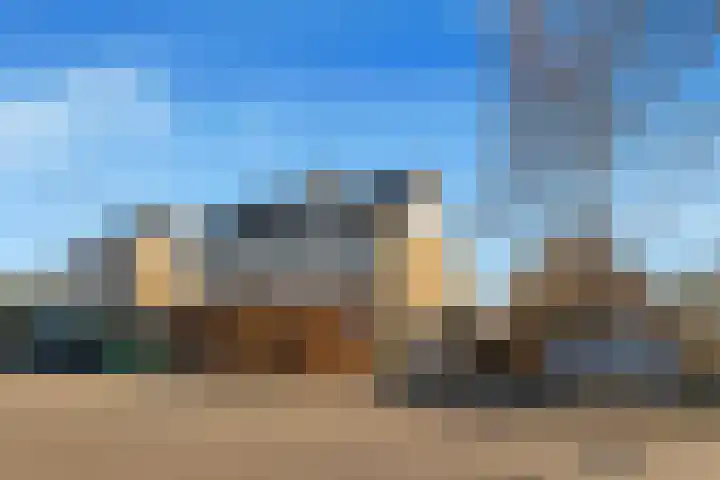 Walingstuin 10 Castricum thumbnail 6