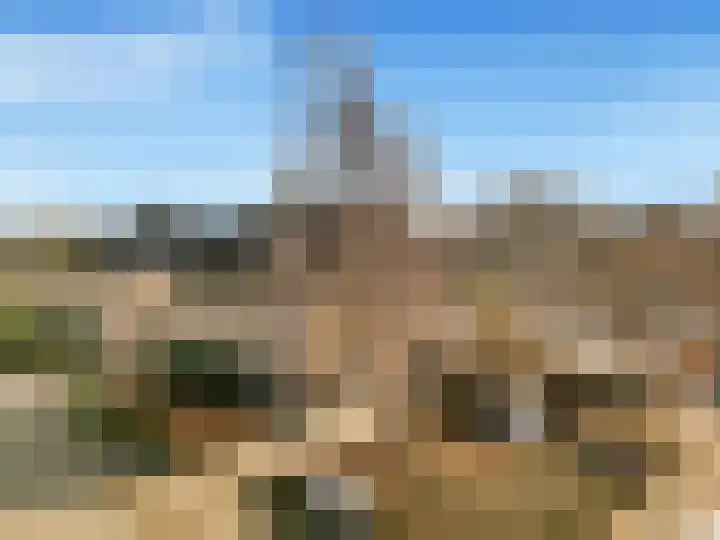 Walingstuin 10 Castricum thumbnail 60