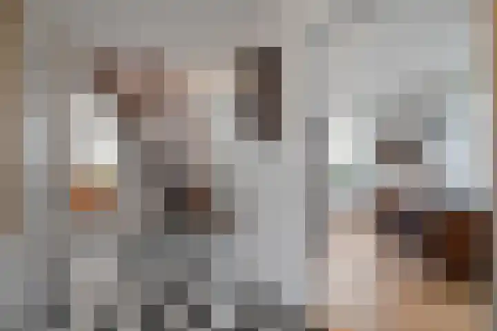 Walingsweg 7 Wieringerwaard thumbnail 15