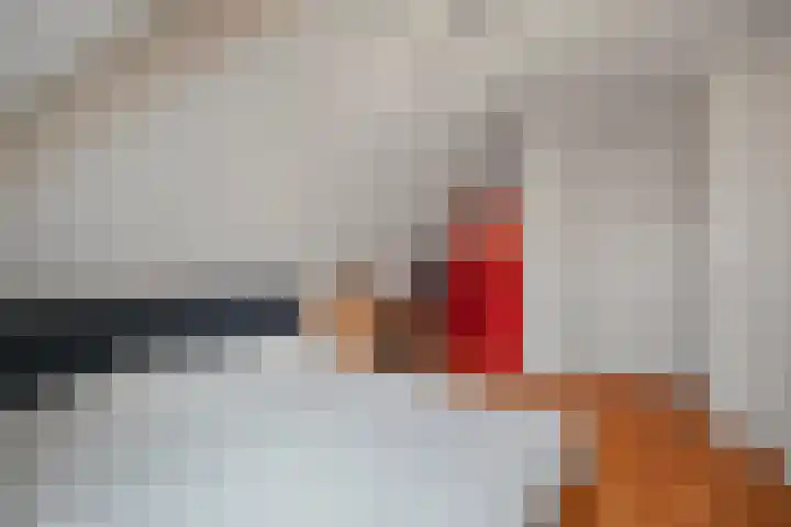 Walingsweg 7 Wieringerwaard thumbnail 24