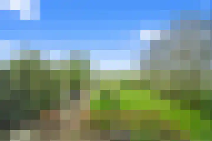 Walingsweg 7 Wieringerwaard thumbnail 34