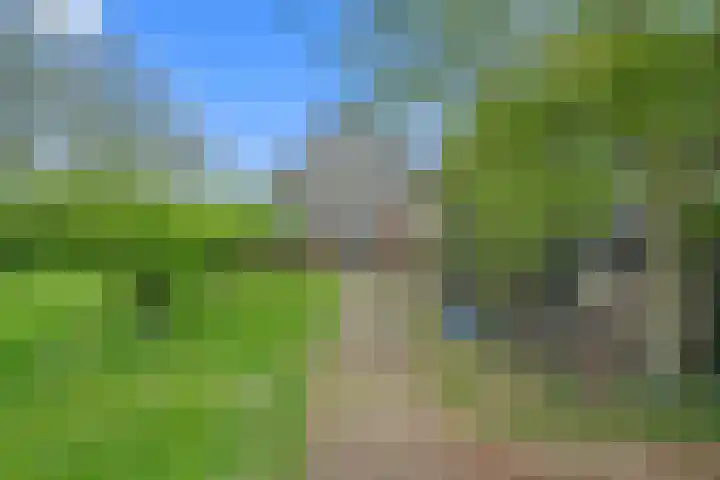 Walingsweg 7 Wieringerwaard thumbnail 36