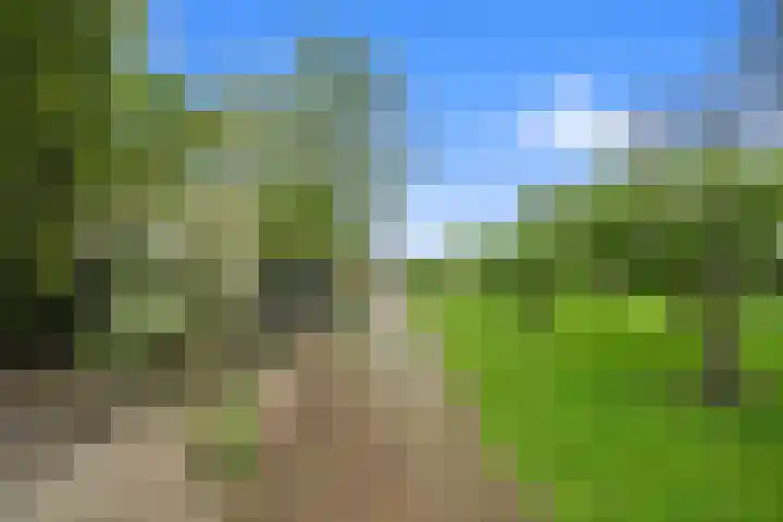 Walingsweg 7 Wieringerwaard thumbnail 37