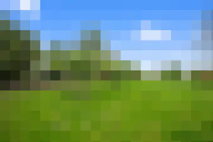 Walingsweg 7 Wieringerwaard thumbnail 38