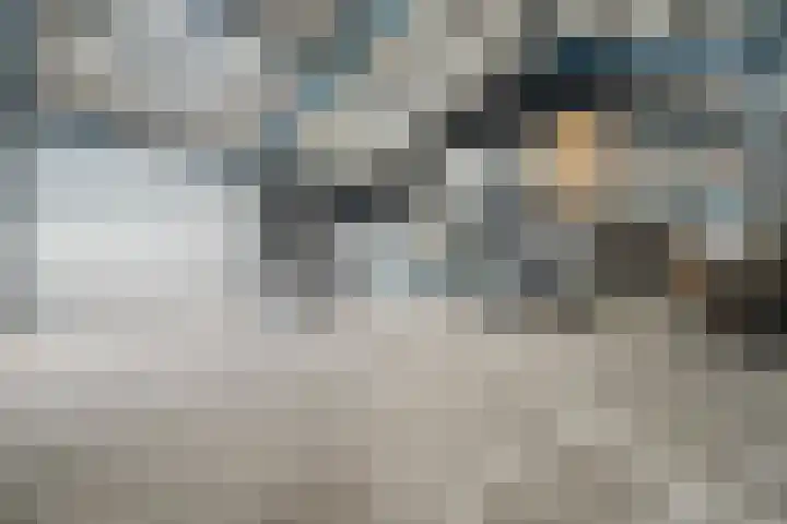 Walingsweg 7 Wieringerwaard thumbnail 43