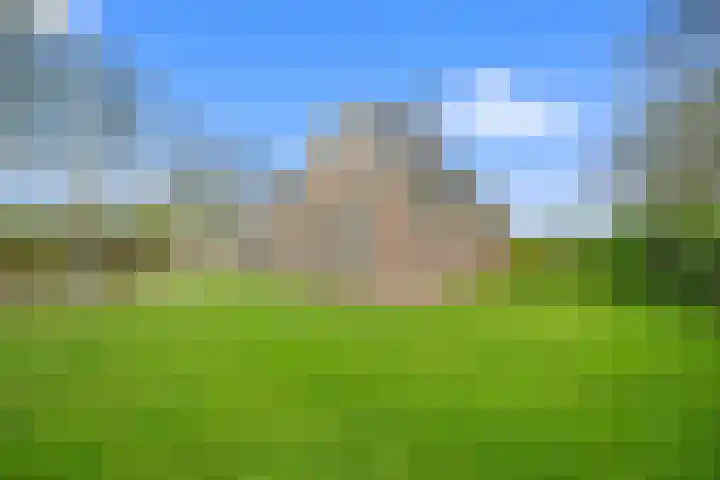 Walingsweg 7 Wieringerwaard thumbnail 7