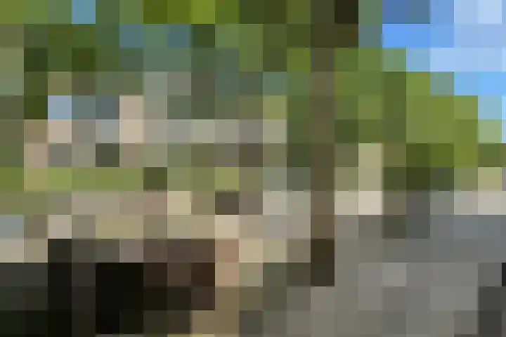 Walkade 71 IJsselstein thumbnail 39