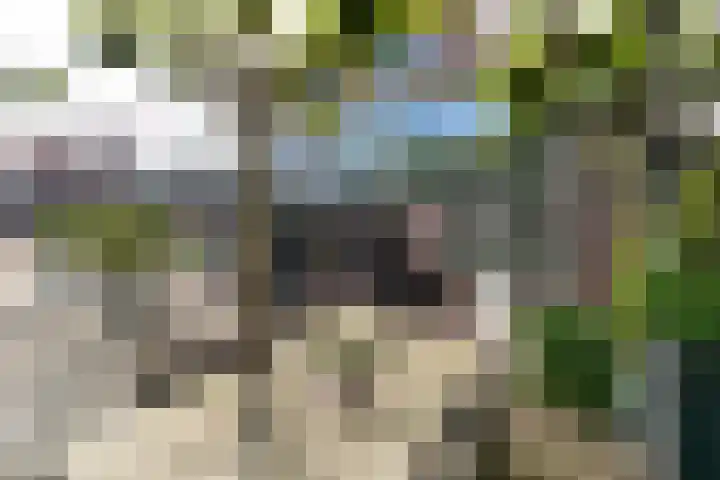 Walkade 71 IJsselstein thumbnail 5
