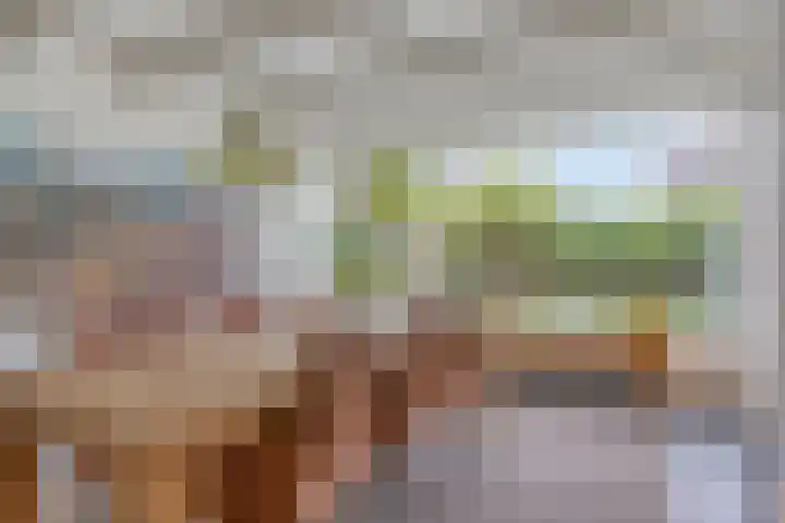 Walkampen 11 Vries thumbnail 17