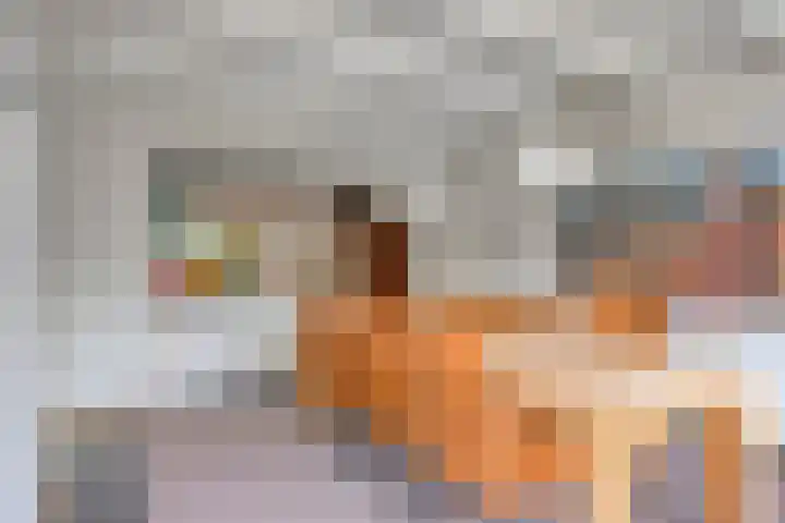 Walkampen 11 Vries thumbnail 18