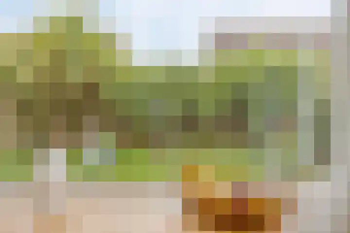 Walkampen 11 Vries thumbnail 19