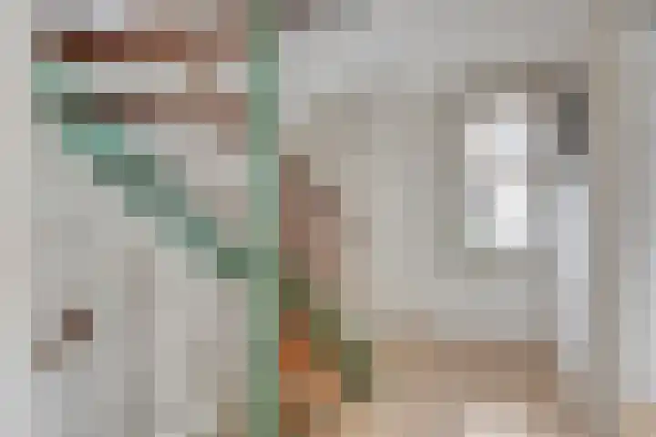 Walkampen 11 Vries thumbnail 22