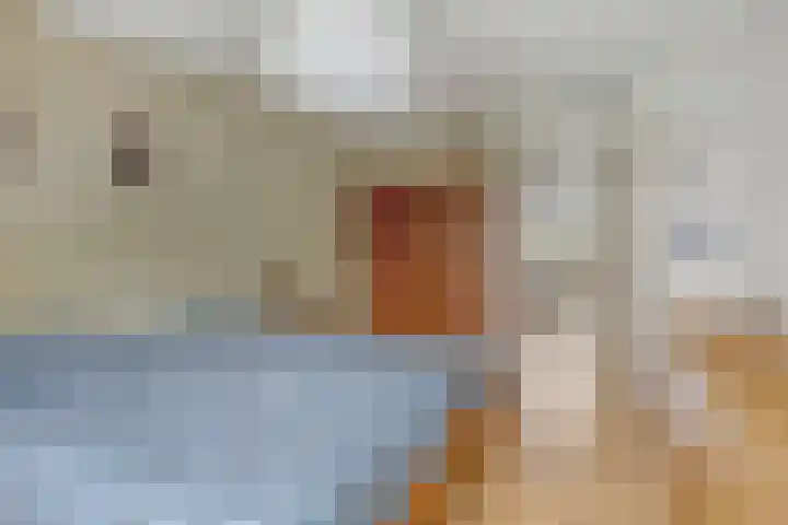 Walkampen 11 Vries thumbnail 24