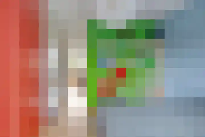 Walkampen 11 Vries thumbnail 26
