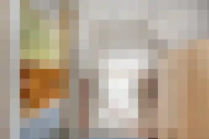 Walkampen 11 Vries thumbnail 30