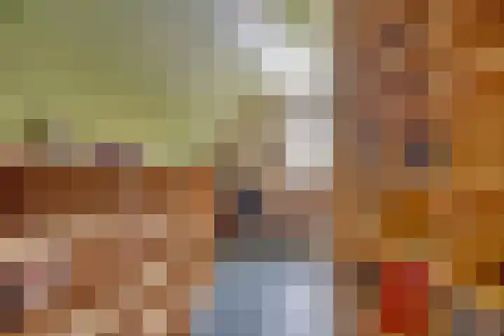 Walkampen 11 Vries thumbnail 32