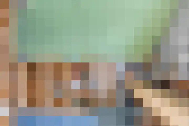 Walkampen 11 Vries thumbnail 34