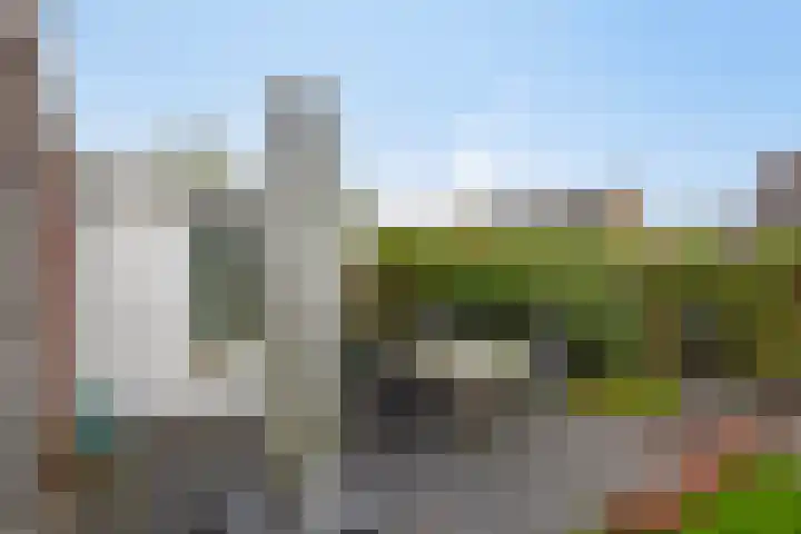 Walkampen 11 Vries thumbnail 37