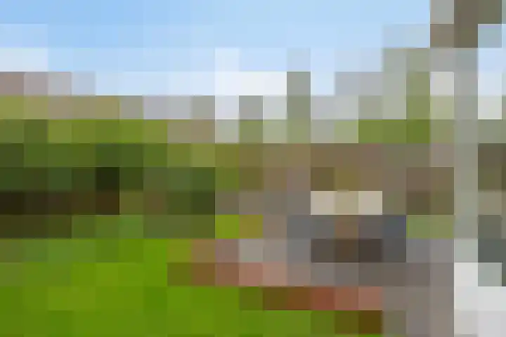 Walkampen 11 Vries thumbnail 38