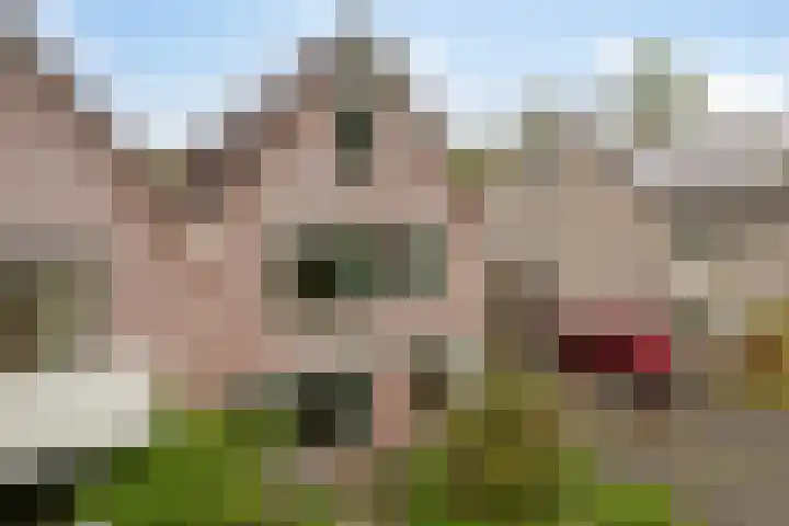 Walkampen 11 Vries thumbnail 39