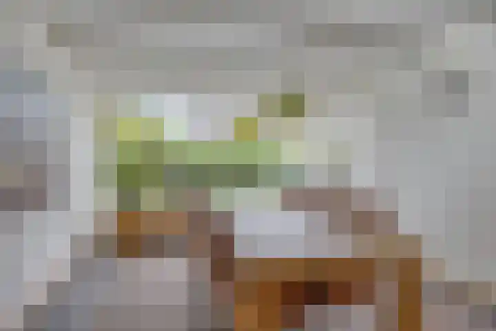 Walkampen 11 Vries thumbnail 4