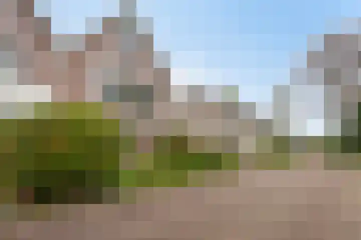 Walkampen 11 Vries thumbnail 40