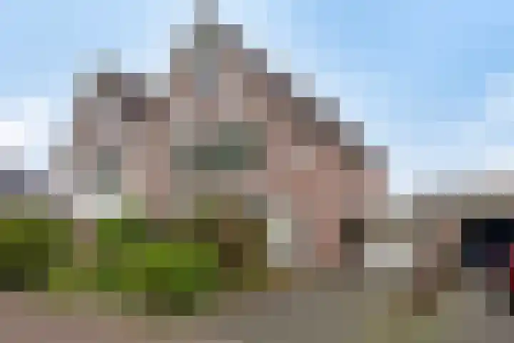 Walkampen 11 Vries thumbnail 41
