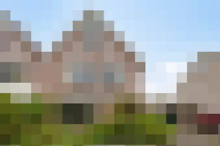 Walkampen 11 Vries thumbnail 42
