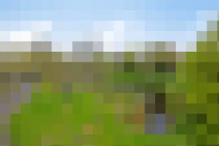 Walkampen 11 Vries thumbnail 45