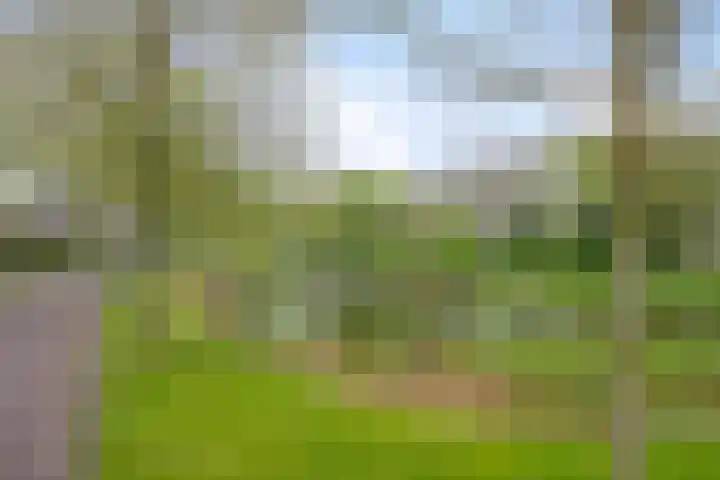 Walkampen 11 Vries thumbnail 46