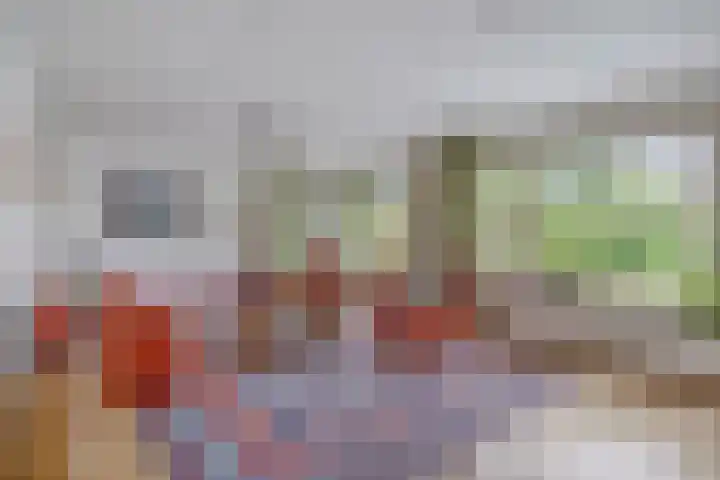 Walkampen 11 Vries thumbnail 6