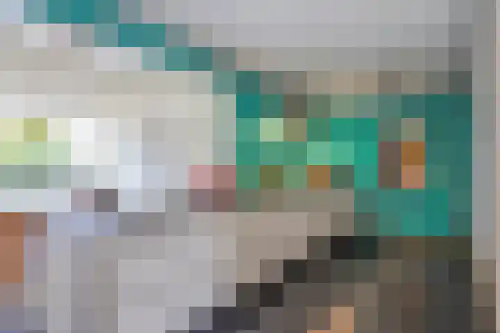 Walkampen 11 Vries thumbnail 9