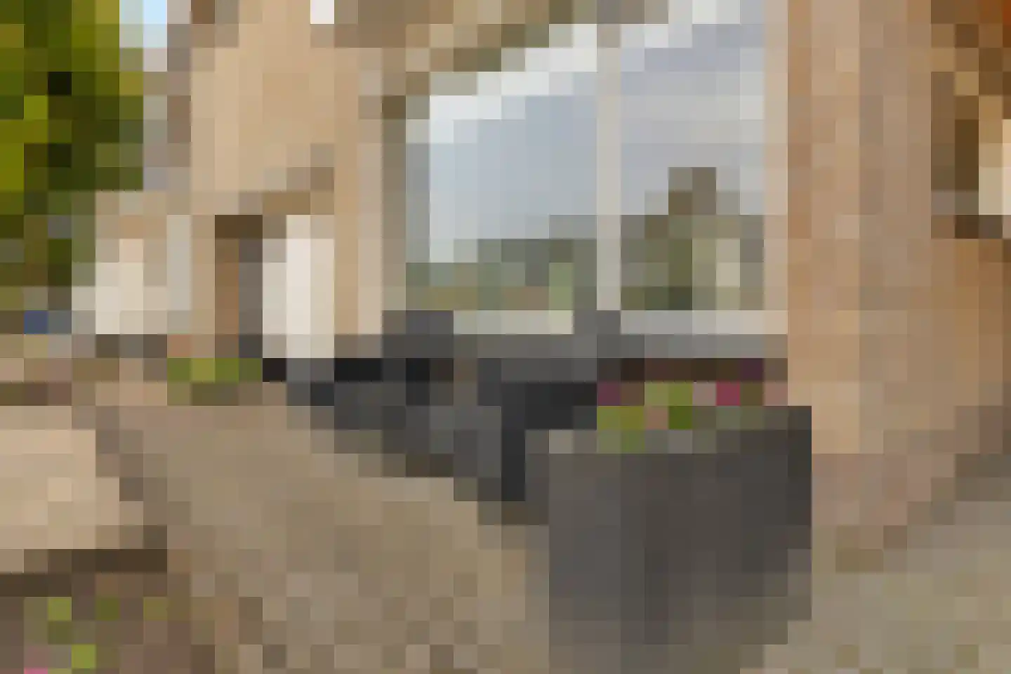 Walker 14 Delfzijl thumbnail 6