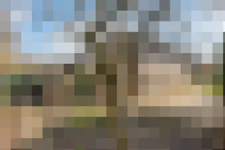 Walker 7 Delfzijl thumbnail 11