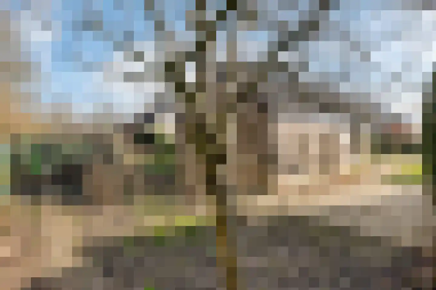 Walker 7 Delfzijl thumbnail 11