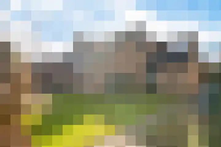 Walker 7 Delfzijl thumbnail 12
