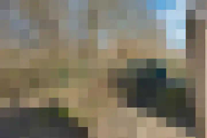 Walker 7 Delfzijl thumbnail 13