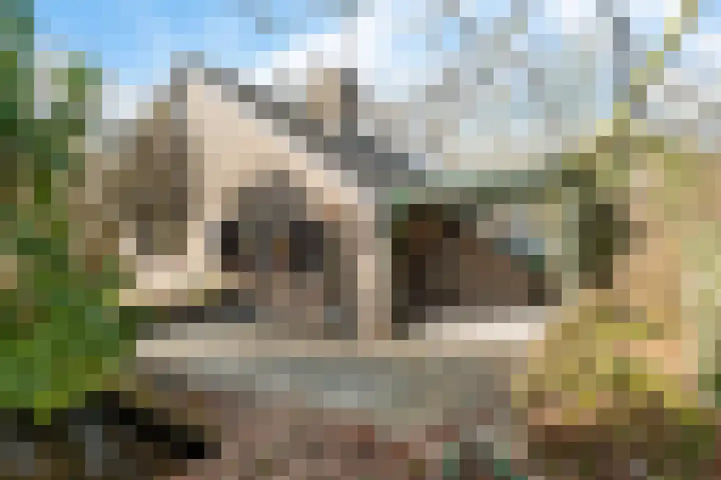 Walker 7 Delfzijl thumbnail 14