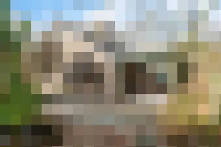 Walker 7 Delfzijl thumbnail 14